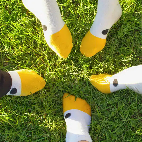 Grounding with Socks