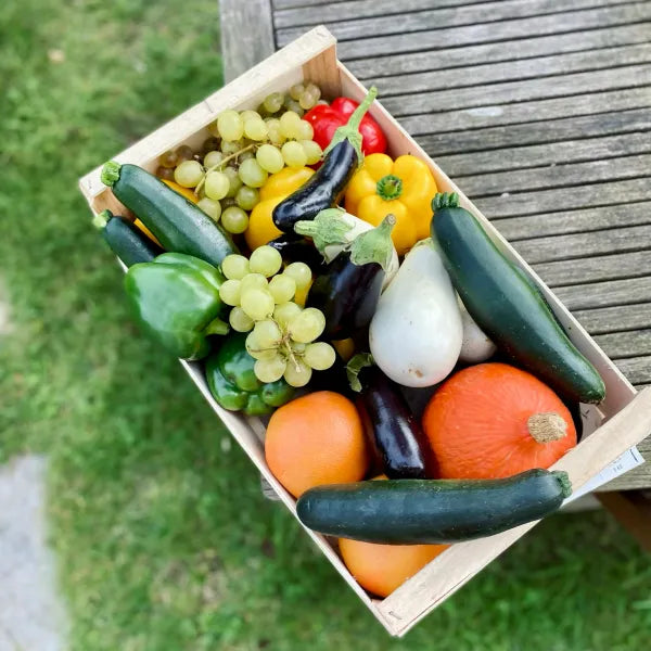 How to Freeze Garden Vegetables