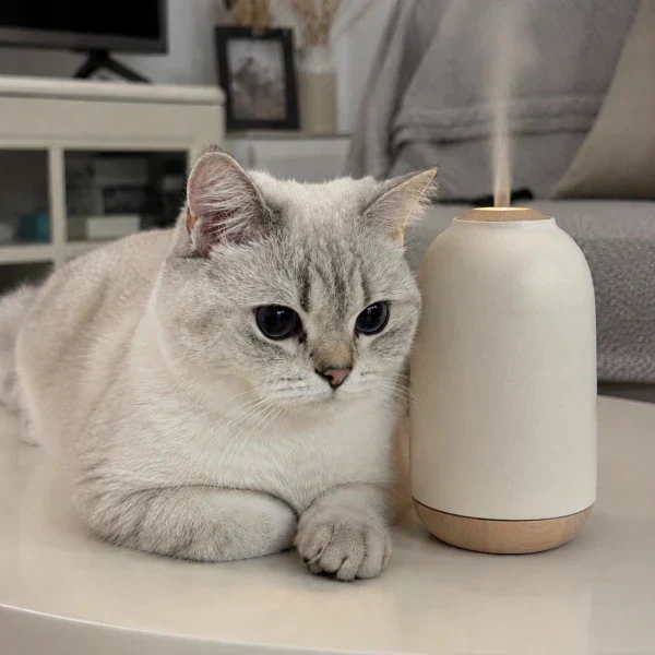What Essential Oils Are Safe for Cats? A Safety Guide for Cat Owners