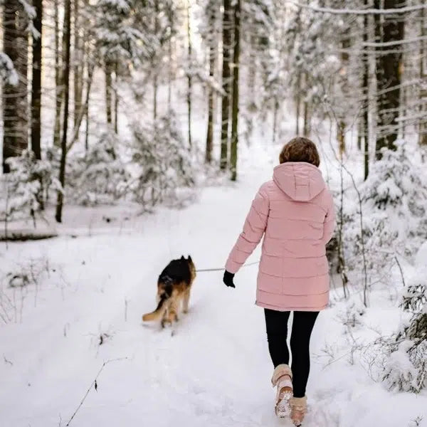 Walking Dogs in Cold Weather