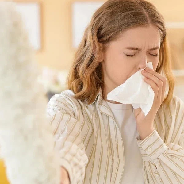 How to Avoid Dust at Home: Stop It Before It Settles