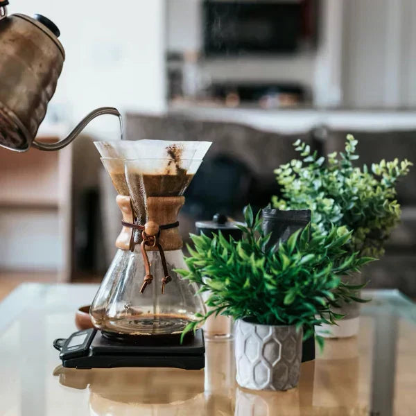 How to Clean a Coffee Maker: ☕️ Start with a Capsule Coffee Machine