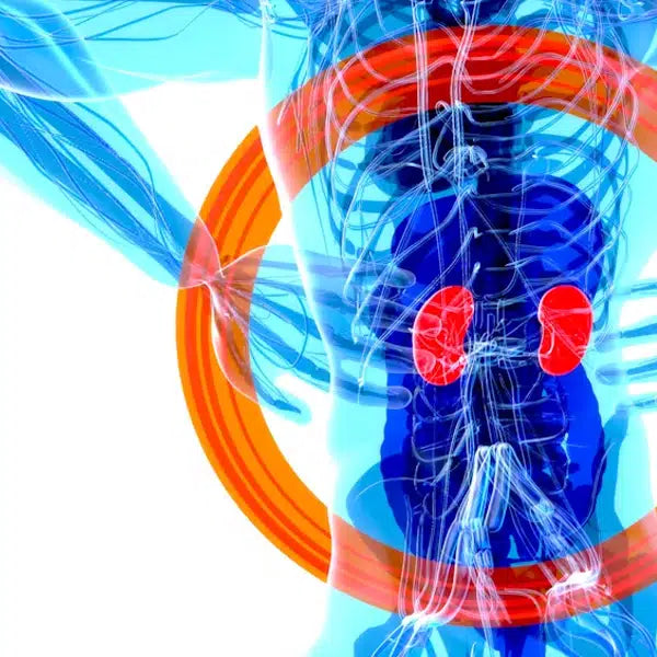 kidney stone pain
