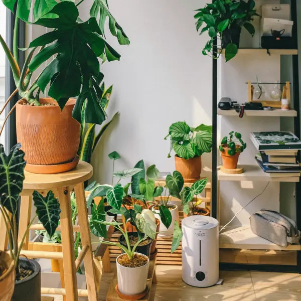 🧽 Turn Old Sponges into a Plant Soil Booster: Easy Indoor Plant Care Hack
